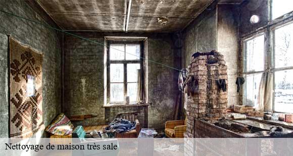 Nettoyage de maison très sale 38 Isère D&N 38 debarras et nettoyage