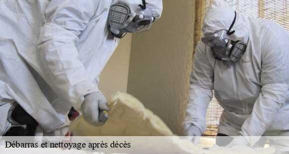 Débarras et nettoyage après décès pusignieu-38510 D&N 38 debarras et nettoyage