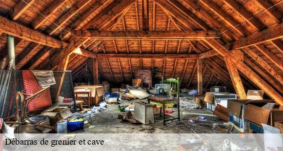 Débarras de grenier et cave vaulnaveys-le-bas-38410 D&N 38 debarras et nettoyage
