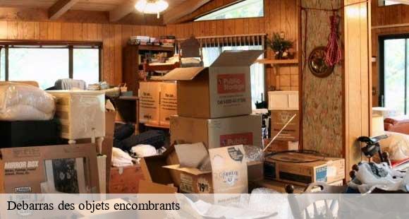Debarras des objets encombrants charette-38390 D&N 38 debarras et nettoyage