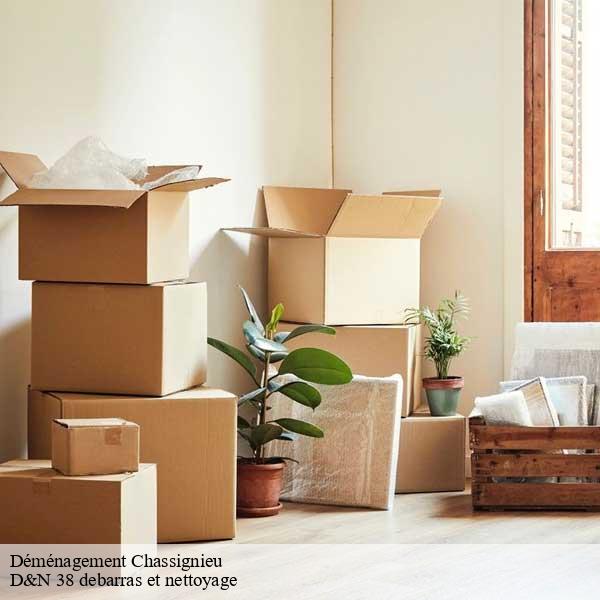 Déménagement chassignieu-38730 D&N 38 debarras et nettoyage