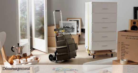 Déménagement tencin-38570 D&N 38 debarras et nettoyage