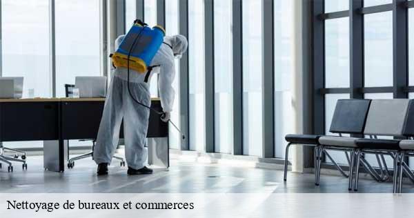 Nettoyage de bureaux et commerces saint-quentin-fallavier-38070 D&N 38 debarras et nettoyage