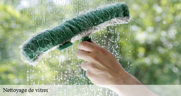 Nettoyage de vitres vaulnaveys-le-bas-38410 D&N 38 debarras et nettoyage